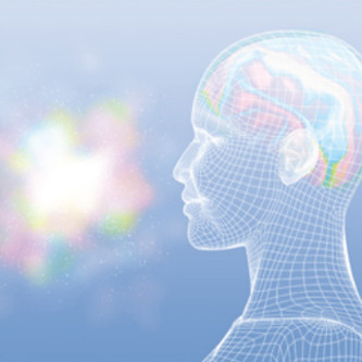 香りの効果を「実証」するサイエンスを追究