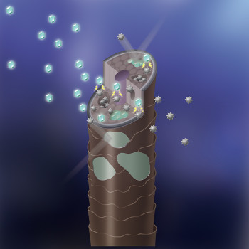 深層デトックス